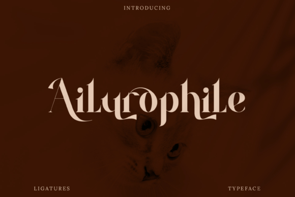 Ailurophile: A Serif Font That Adds Quiet Confidence to Campaigns