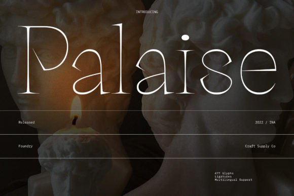 Palaise: A Charismatic Serif Font for Editorial Impact