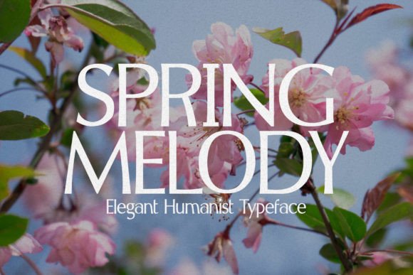 Spring Melody: A Premium Sans Serif Font for Trusted Branding